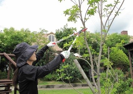 太い枝も楽々カット　播州三木製造　太枝切鋏全長６５０ｍｍ（レッド）【北海道・沖縄・離島　配送不可】