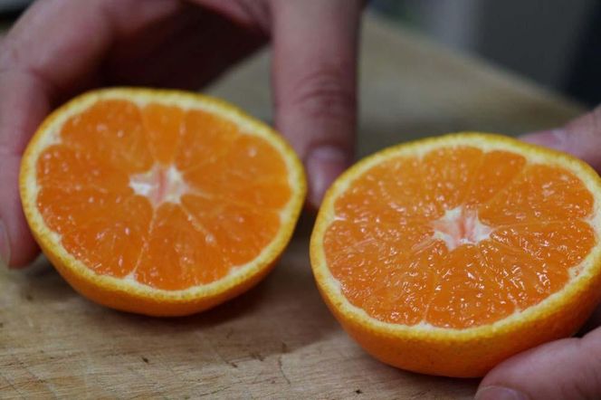 数量限定！店主にお任せ　農家直送の無添加の柑橘ジュース＆ジャムセット DB026