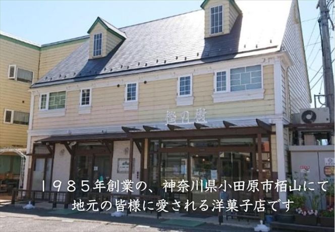 160-1952 西湘菓子工房樫の樹　江ノ浦れもん10個入りギフト 【 お菓子 スイーツ 神奈川県 小田原市 】