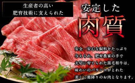 くまもと黒毛和牛 すき焼き用 500g 1000g《90日以内に出荷予定(土日祝除く)》 南阿蘇食品---sms_fkmkgsk_90d_23_20000_500g---