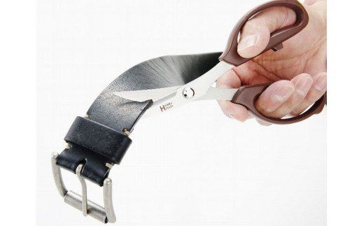 H5-71 革切りはさみ