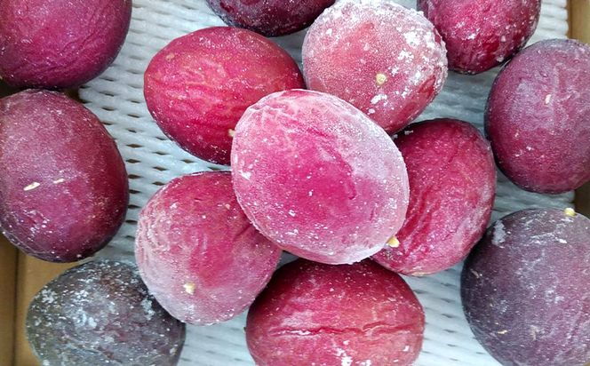 冷凍パッションフルーツ 約1kg（沖縄県大宜味村） | ふるさと