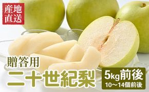 【先行予約】【贈答用】 二十世紀梨 5kg前後 (10個～14個前後) 鳥取県産 梨 なし ※着日指定不可 ※2025年8月下旬～9月中旬頃に順次発送予定