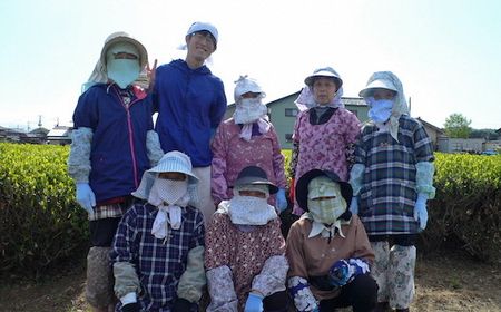 D4038 村上銘茶詰め合せE