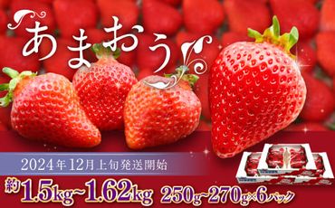 博多あまおう（冬） 約250g～270g×6パック 計約1.5kg～1.62kg【2024年12月上旬～2025年1月下旬発送予定】いちご 苺 イチゴ 果物 フルーツ