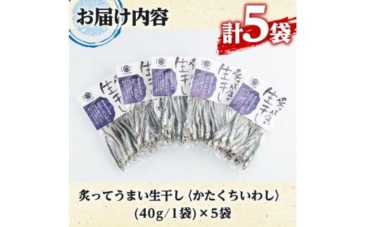 鹿児島県阿久根市産生干し「かたくちいわし」(計5袋・1袋40g)国産 魚介 干物 イワシ 鰯 がらんつ干物【マルフク川畑水産】a-12-154