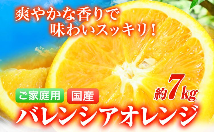 [ご家庭用訳あり][先行予約]希少な国産バレンシアオレンジ 約7kg 株式会社魚鶴商店[2026年6月下旬-7月上旬頃出荷]和歌山県 日高町---wsh_uot152_6g7j_25_16000_7kg---