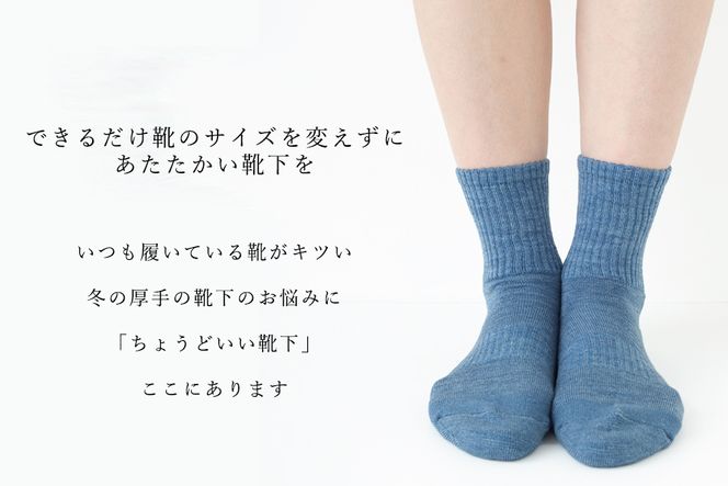 【薄いのにあたたかい！】ウール製足底補強パイルソックス（25-27cm）5足セット【B：クラシックなセレクトカラー】/// くつした 靴下 通年 人気 奈良県 広陵町 温か 温活