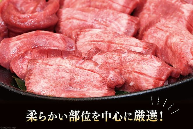y{錧CszlCI ^ ؂苍^  1.5kg (500g×3) [`h {錧 Cs 20564664]     ^  Ⓚ ē BBQ AEghA o[xL[ ؂ ^