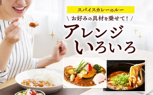 《無地熨斗 対応可》極旨カレー4種食べ比べセット（ビーフ・ポーク・チキン・キーマ）＆スパイスカレールー各1箱  177-8-12