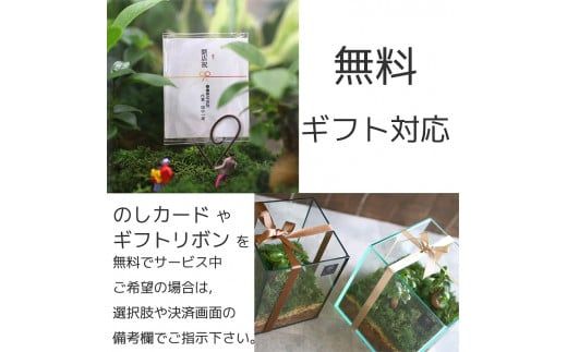 D041 モダンインテリアやギフトに「花うるるのテラリウムSサイズ」（ジオラマ人形おまけ付）