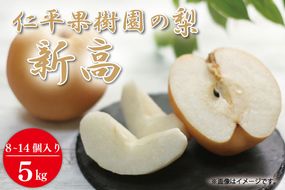 【先行予約】【数量限定】仁平果樹園の梨 「新高」5kg (8個～14個) (9月下旬より順次配送) | 果物 新鮮 フルーツ ギフト 梨 ナシ 益子町産梨 甘い あまい 糖度11.5以上 糖度保証 果汁 果肉 栃木県 益子町 (DB004)