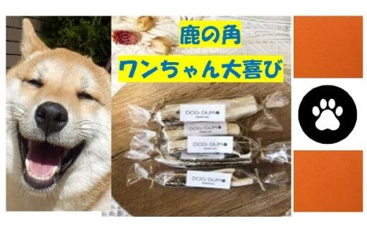 【ジビエ】犬のおもちゃ・ドッグフードのセット（小型犬用）【0tsuchi00430】