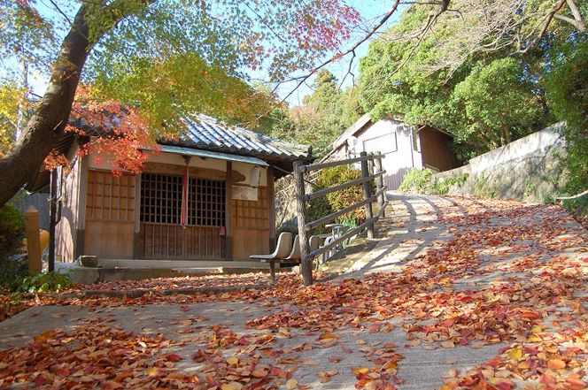 220 語り部と歩きたび★熊野古道★時さかのぼるありだ【完歩証付き】 (A220-1)