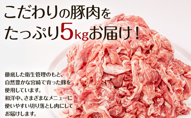 宮崎県産 豚肉 切り落とし 250g×20 合計5kg_M144-016