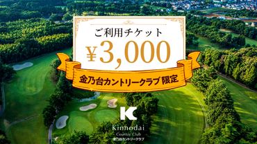 [ 3,000円 分] 金乃台カントリークラブ 限定 利用チケット 1,000円 × 3枚 ゴルフ クラブ ゴルフ場 プレー券 利用券 体験 チケット [CI003us]