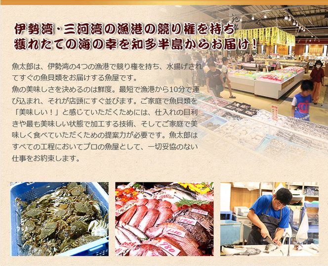 【魚太郎知多本店】商品券1万円分 魚太郎 ふるさと納税 海鮮 刺身 干物 ひもの バーべキュー 愛知県 美浜町※ゆうパックにて配送 ※2025年10月より利用方法が変わりました 〇