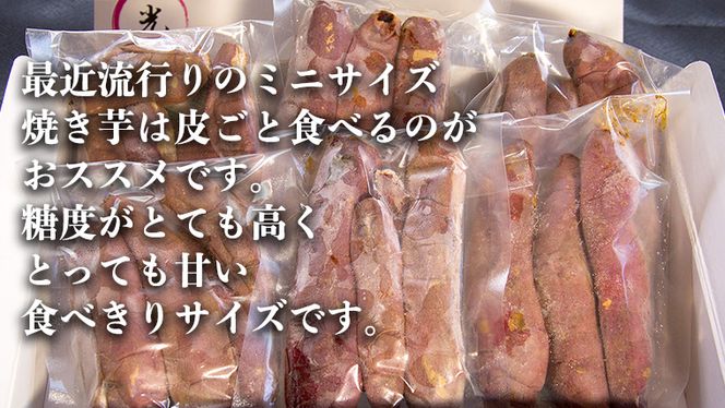 茨城県産 ミニ 焼き芋 6袋 入り イモ いも さつまいも サツマイモ さつま芋 スイーツ [CO005ci]
