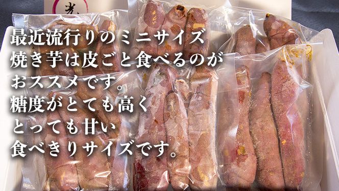 【 お歳暮 熨斗付き 】 茨城県産 ミニ 焼き芋 6袋 入り イモ いも さつまいも サツマイモ さつま芋 スイーツ 歳暮 贈り物 ギフト [CO005ci]