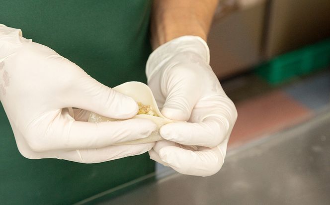 手包み！　アグー豚ぎょうざ　餃三郎　６０個