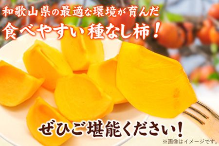 先行予約【秋の味覚】和歌山 産 の たねなし 柿 ご家庭用 約 7.5kg  厳選館《2026年9月上旬-11月上旬頃より出荷》和歌山県 日高川町 柿 カキ かき ジューシー フルーツ たねなし---wshg_tmt252_9j11j_25_15000_75---