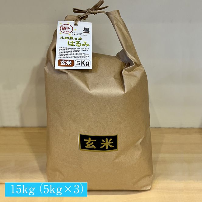 93-2682　志村屋米穀店 令和6年産 新米 小田原市産　はるみ(玄米) 　15kg（5kgｘ3）＜出荷時期：10月中旬より順次出荷開始＞【おこめ 玄米 はるみ 特A 贈答用 ご家庭で 贈り物 クラフト袋入り 神奈川県 小田原市 】