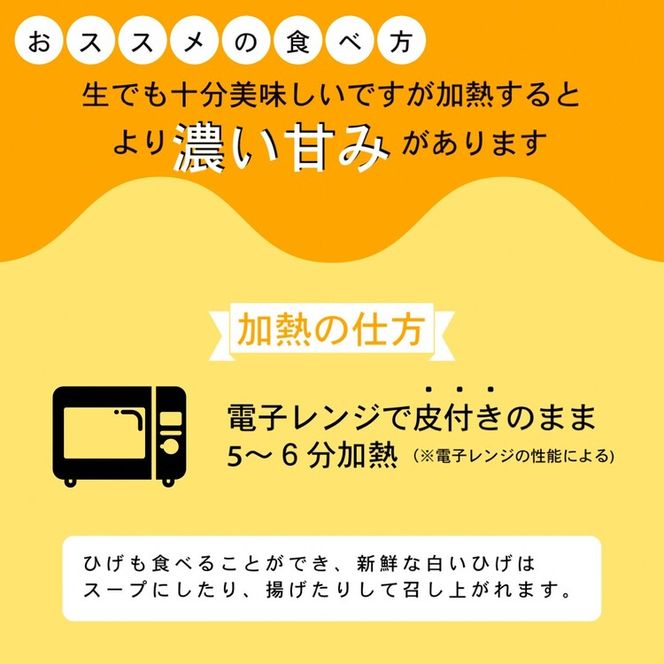 【先行予約】朝採れ とうもろこし 5kg スイートコーン ドルチェドリーム 甘い 早朝収穫〈アグリにのうみ〉京都 亀岡 農家直送 2025年産 ※北海道・沖縄・離島への配送不可 ※2025年7月上旬～7月下旬頃順次発送予定