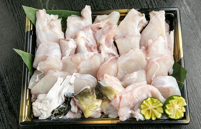 030D163 トラフグ てっちり（フグ鍋） 切り身