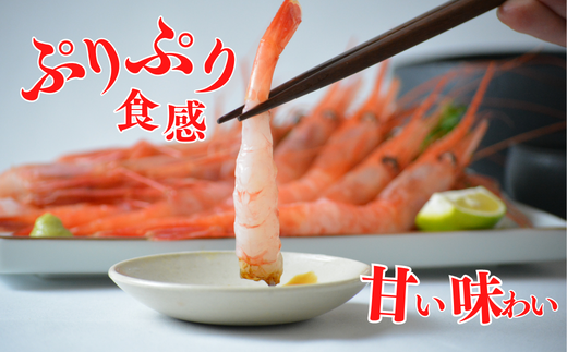 【甘えび 刺身用 (30～40尾) 約700g 兵庫県香住産 冷凍 】※発送目安：入金確認後、順次発送 日本海で水揚げされた鮮度抜群の甘えびを水揚げ後、すぐに船内で急速冷凍した商品です。鮮度抜群 漁師が食べている新鮮な旨みをたっぷり味わってください。大人気 ふるさと納税 送料無料 香美町 香住 柴山 刺身 唐揚げ 味噌汁 海鮮丼 エビ 宿院商店 33-04