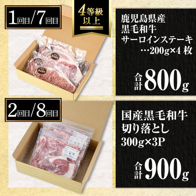 isa585 【定期便12回】満足贅沢 牛肉定期便(合計9.3kg超) 肉 牛肉 霜降り すきやき しゃぶしゃぶ 牛しゃぶ サーロイン リブロース ステーキ 冷凍 ロース カタロース 肩ロース BBQ アウトドア【サンキョーミート株式会社】