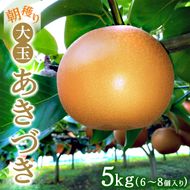 朝穫り　大玉【あきづき】5kg　6個～8個入り【9月10日受付終了】※2026年9月～発送