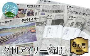 【6か月定期便】夕刊デイリー新聞 N0108-YZE033