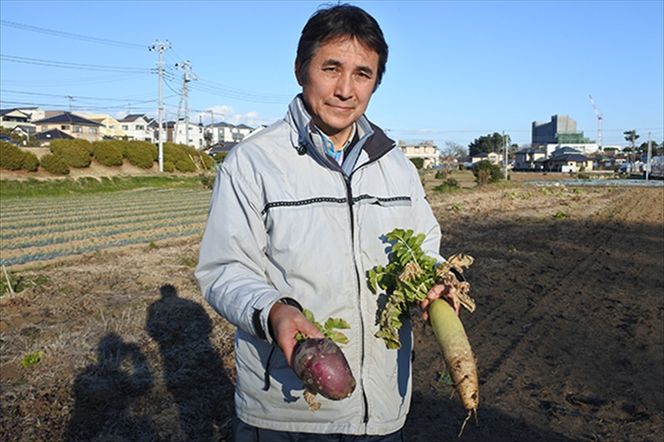 159-2041-02　【定期便：3ヶ月連続でお届け】（10個入り）湘南で育った平飼い、烏骨鶏の卵。大磯まるしん農園【 たまご 神奈川県 大磯町 】