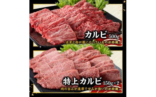 宮崎牛 堪能セット 【プレミアム】 合計1.9k【 肉 牛肉 国産 宮崎県産 黒毛和牛 和牛 ロースステーキ カルビ 】[D11415]