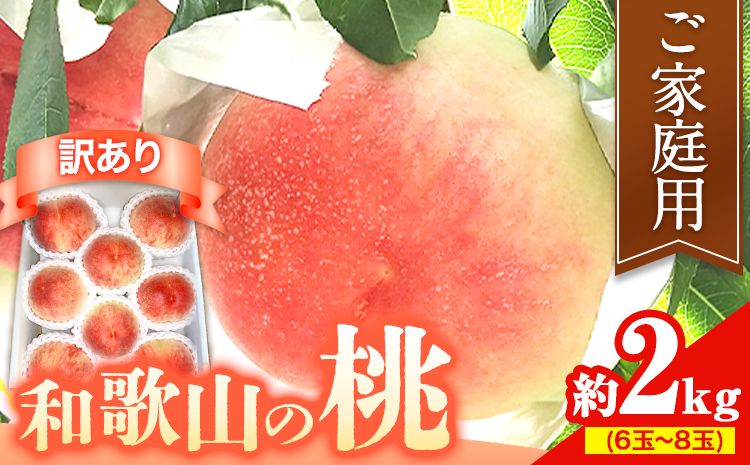 [訳あり] ご家庭用 和歌山の桃 約2kg (6玉~8玉) m&n果実園 [配送不可地域あり][6月中旬-7月下旬頃出荷]和歌山県 紀の川市 モモ 桃 もも 旬 白鳳 日川白鳳 なつっこ 果物 フルーツ---wsk_cmnk4_k6_23_12000_2kg---