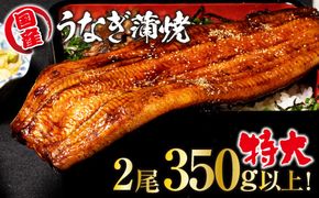 山梨県産富士山脈の地下水うなぎの蒲焼　特大2尾350g以上 138-003
