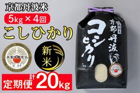 【定期便】令和7年産 新米 京都丹波米こしひかり5kg×4回 計20kg◇◆◇ 定期便 4回定期便 米 白米 5kg 4ヶ月 ※精米したてをお届け ｜ 米・食味鑑定士厳選 コシヒカリ 京都丹波産 ※北海道・沖縄・離島への配送不可