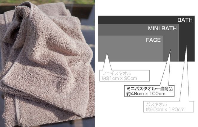 099H1891 【スピード発送】 エアーミニバスタオル 2枚（ブラウン）【泉州タオル 国産 吸水 普段使い シンプル 日用品 家族 ファミリー】
