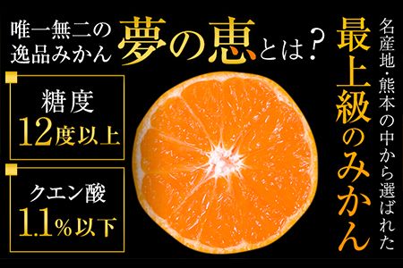 夢の恵 みかん 約2.5kg(20玉～30玉前後) 熊本県産 （長洲町産含む） 糖度12度以上 ブランドみかん ブランド 贈答用 贈り物《2026年1月中旬-2月末頃出荷》 熊本県 長洲町---ng_yumemi_af11_r7_8000_2kg---