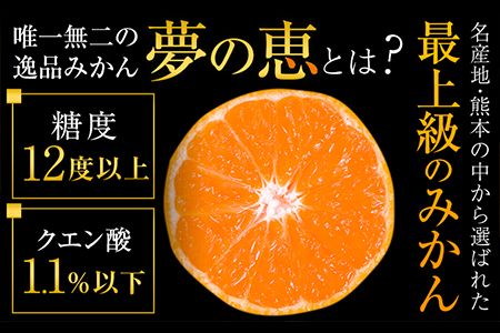 夢の恵 みかん 約2.5kg(20玉～30玉前後) 熊本県産 （長洲町産含む） 糖度12度以上 ブランドみかん ブランド 贈答用 贈り物《11月中旬-12月下旬頃出荷》 熊本県 長洲町---ng_yumemi_k11_24_9000_2kg---