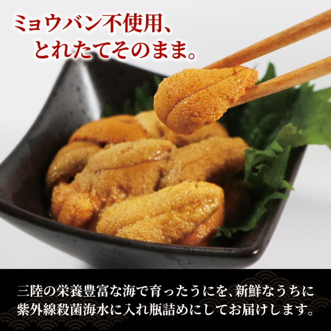 生うに 120g (40g×3本) 牛乳瓶 冷蔵 ミョウバン不使用 添加物無添加 うに ウニ 雲丹 [michinoeki01_1]