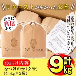 【米の匠】川崎さん自慢のなつほのか＜玄米＞ 計9kg(4.5kg×2袋) b2-032-R6-3w