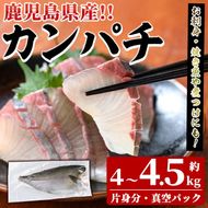 鮮度抜群！鹿児島県産カンパチ(片身分・4～4.5kg) 国産 刺身 鹿児島産 魚貝 魚介 海産物 刺身 かんぱち カンパチ 焼き魚 煮つけ【さるがく水産】a-40-11-z