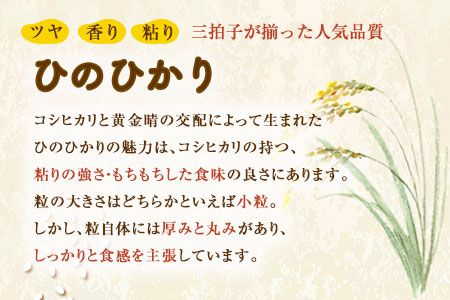  令和8年産 鋤先家 の ひのひかり 6kg (2kg×３袋) 熊本県氷川町産 鋤先梨農園《30日以内に順次出荷(土日祝除く)》---hkw_26_snn_3_6kg---