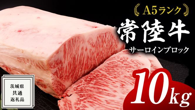 y錧vsz헤 A5  T[C ubN 10kg ( 錧ʕԗi ) јa Y Ɩp  ubN    A5N uh  Ђ uha Xe[Lp [BM133us]