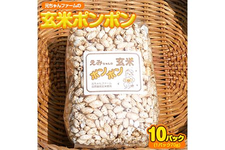 玄米ポンポン 元ちゃんファーム[90日以内に出荷予定(土日祝除く)] 和歌山県 紀の川市 玄米 菓子 送料無料---wsk_gncgmpp_90d_22_14000_300g---