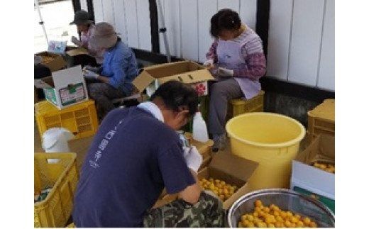 【三草二木西圓寺】おすすめ特産品セット 010130