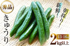 AG063【令和8年度出荷分】【秀品】新鮮 朝採りきゅうり 2kg以上 [ きゅうり 野菜 サラダ 漬物 酢の物 長崎県 島原市 ]