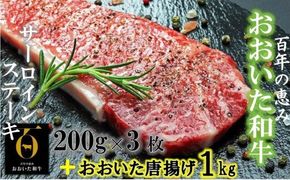 おおいた和牛サーロイン200g×3+鶏唐揚げ1kg_1089R