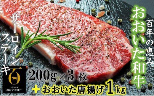 y啪szaT[C200g×3+{g1kg_1089R